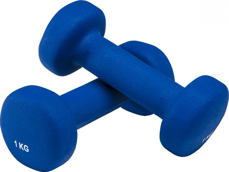 Zwei blaue Fitnesshanteln mit einem Gewicht von 1 kg, ideal für Krafttraining und Fitnessübungen.