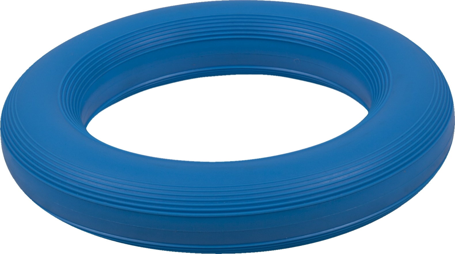 Ein blauer Frisbee-Ring aus Kunststoff, ideal für Outdoor-Spiele und Aktivitäten