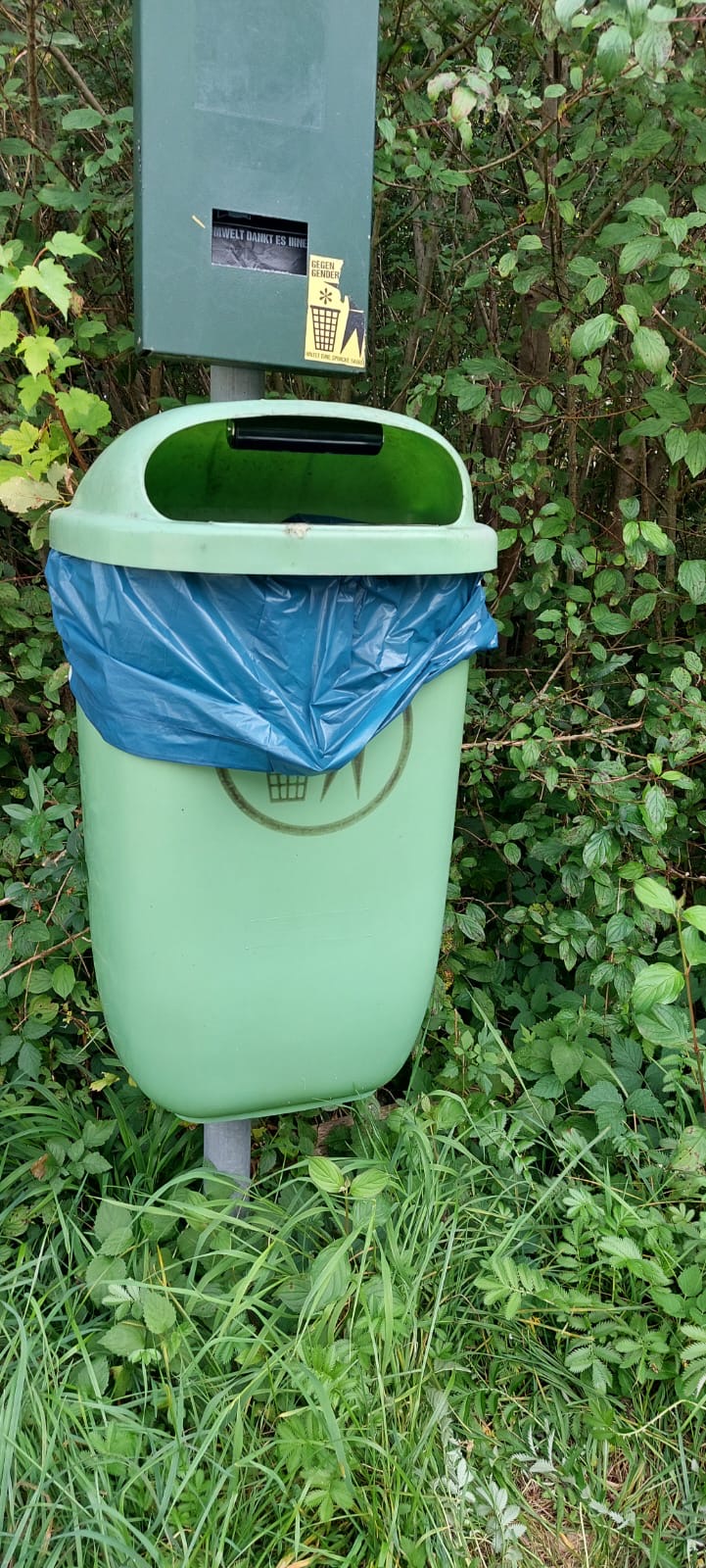 Ein grüner Mülleimer mit einer blauen Mülltüte steht in einem bewachsenen Parkbereich.
