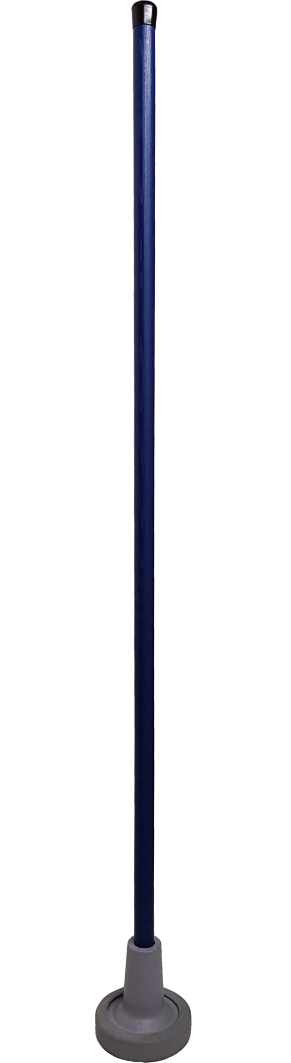 Plastik-WC-Pümpel mit grauem Saugnapf und blauem Griff