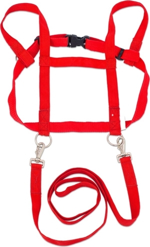 Rotes Hundegeschirr mit integrierter Leine, verstellbar und sicher für Spaziergänge
